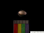 L_V22d5617 A15q728.1.2 T927 dM sh f372